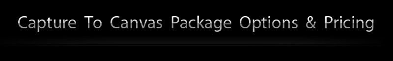 CaptureToCanvas pricing header