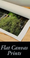 flat canvas prints