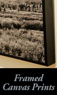 framed canvas prints