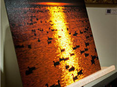 alternative media print